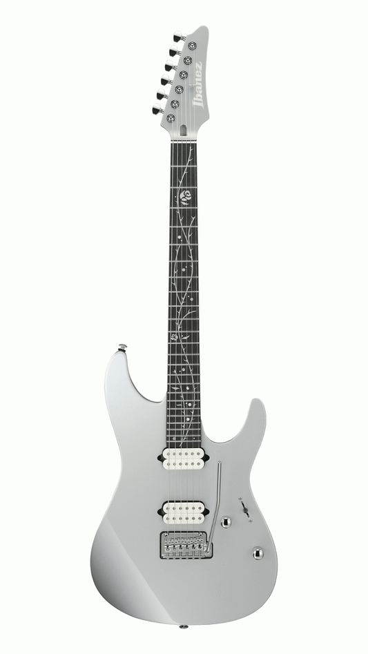 Ibanez TOD10 in Silver