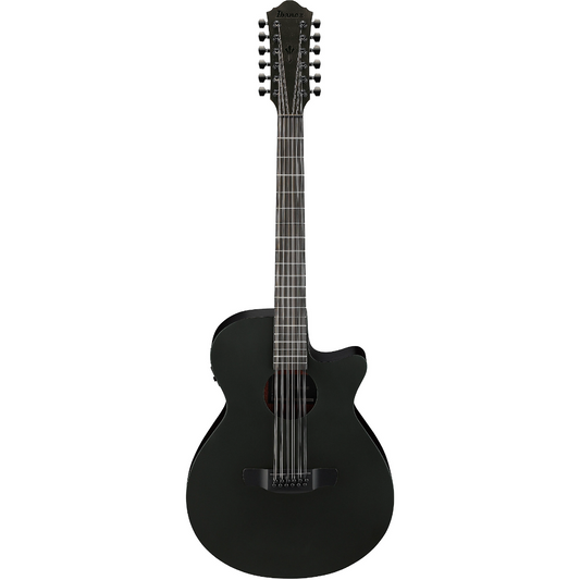 Ibanez AEG1221 12-String Acoustic Guitar in Black Out