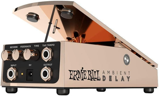 Ernie Ball Expression Series Ambient Delay 6184