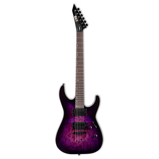 ESP LTD M-200DX NT Electric Guitar in Purple Burst