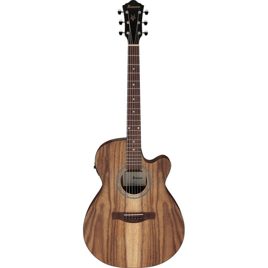 Ibanez VC40WSCE Acoustic Guitar in Open Pore Brown