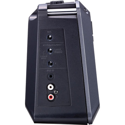 Roland Mobile Cube 2x4" 5W Battery Powered Stereo Amp