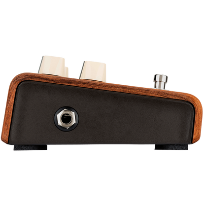 LR Baggs Align Reverb Acoustic Pedal