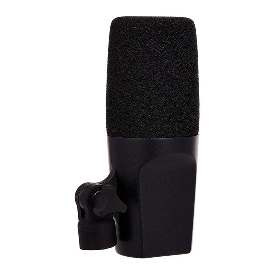 sE Electronics DynaCaster DCM6 Cardioid Dynamic Studio Microphone