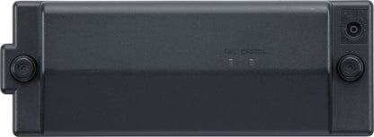 Roland BTYNIMH/A Rechargeable Amp Power Pack