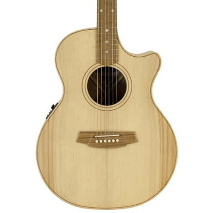 Cole Clark CCAN2EC-BB-AE Bunya Blackwood Acoustic Electric Guitar