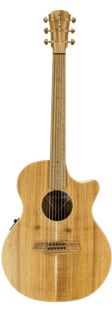Cole Clark CCAN2EC-BLBL-AE  Blackwood Acoustic Electric Guitar