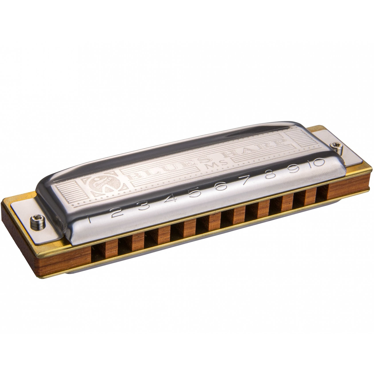 Hohner MS Series 10 Hole Blues Harp F#