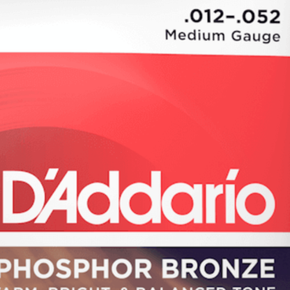 DAddario EJ39 12 String Phosphor Bronze Medium Acoustic Guitar Strings