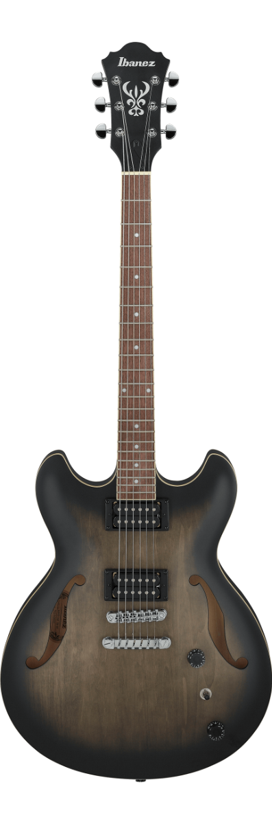 Ibanez AS53 in Transparent Black Flat