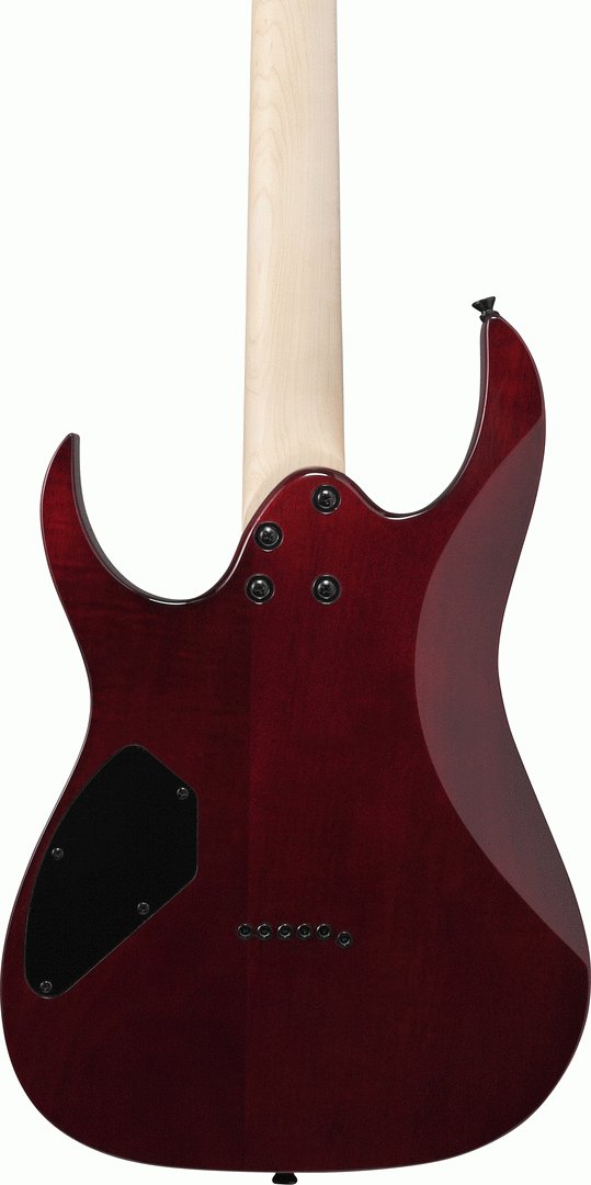 Ibanez RGR221PA Electric Guitar in Aqua Burst