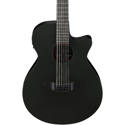 Ibanez AEG1221 12-String Acoustic Guitar in Black Out