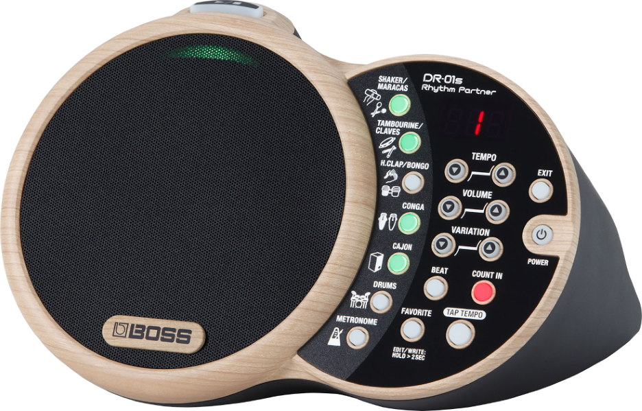 Boss DR01S Rhythm Partner Groove Machine | EX-DEMO