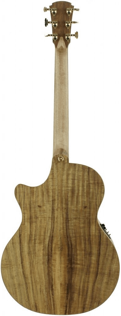 Cole Clark CCAN3EC-BLBL-AE All Blackwood Acoustic Electric Guitar