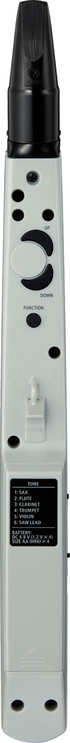 Roland AE01 Aerophone MINI