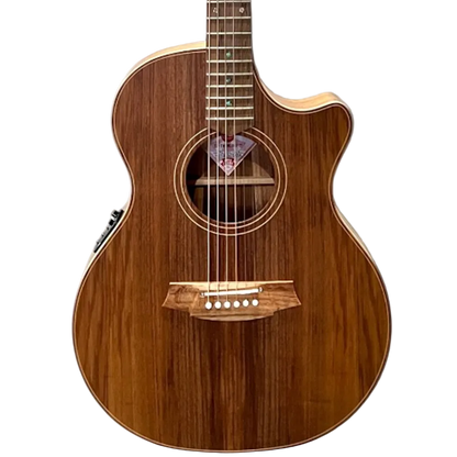 Cole CLark TL2EC-AE Thin Line All Blackwood Electric-Acoustic