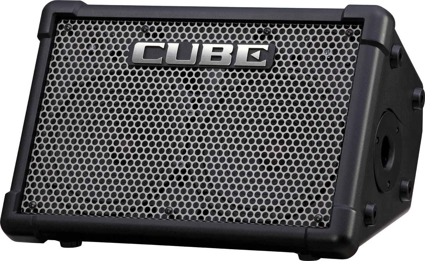 Roland CUBE Street EX 2x8" 50W Battery Powered Stereo Amp