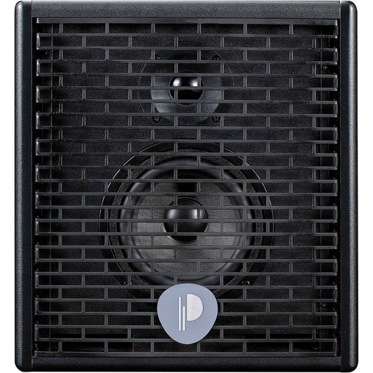 Prodipe Natural 5 1x5" 90W Acoustic Amp