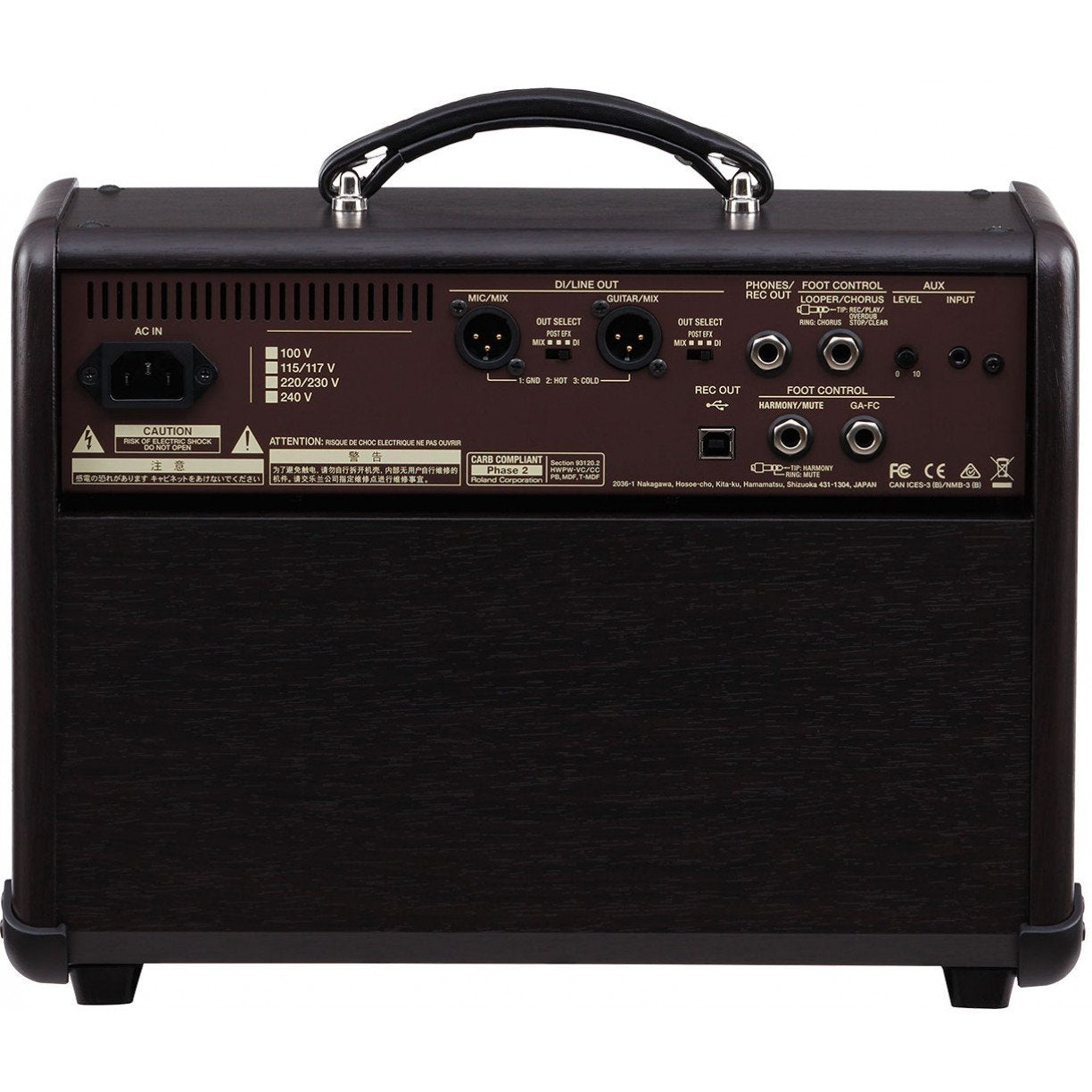 Boss Acoustic Singer Live 1x6.5" 60W Acoustic Amp