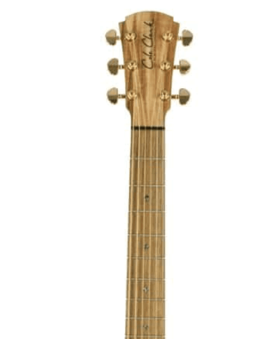 Cole Clark CCAN2EC-BLBL-AE  Blackwood Acoustic Electric Guitar