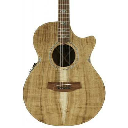 Cole Clark CCAN3EC-BLBL-AE All Blackwood Acoustic Electric Guitar
