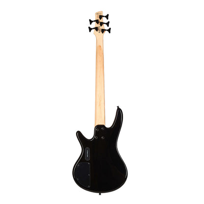 Ibanez SR205SM Bass Guitar in Natural Grey Burst
