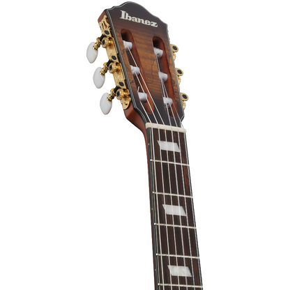 Ibanez FRH20QMN Electric Nylon String in Tobacco Burst Low Gloss