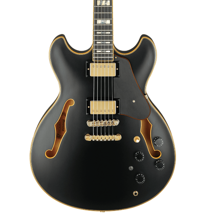 Ibanez JSM20 John Scofield Signature Hollowbody in Black Low Gloss
