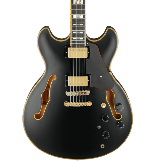 Ibanez JSM20 John Scofield Signature Hollowbody in Black Low Gloss