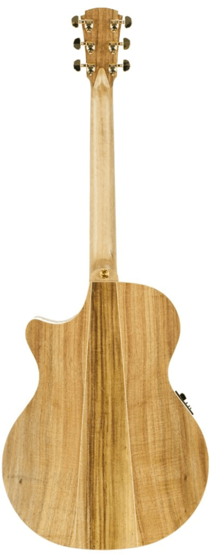 Cole Clark CCAN2EC-BLBL-AE  Blackwood Acoustic Electric Guitar