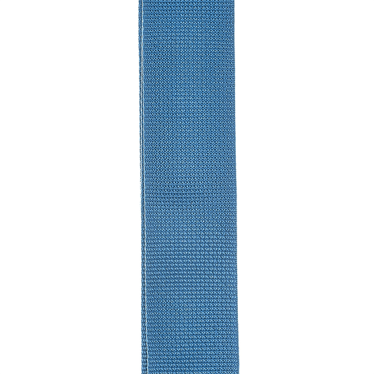 D'Addario Planet Waves Polypropylene Strap in Blue