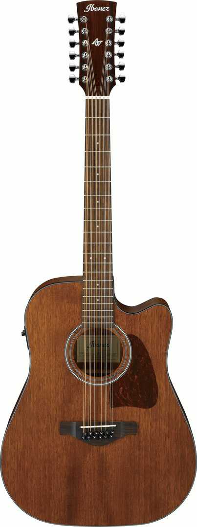 Ibanez AW5412CE Artwood 12-String Acoustic Electric Guitar in Open Pore Natural