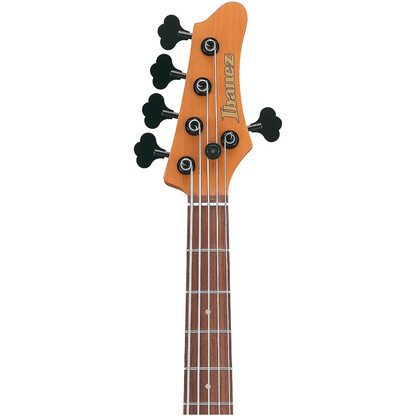 Ibanez MDM1005 Electric Bass Guitar in Midnight Arctic Ocean Matte