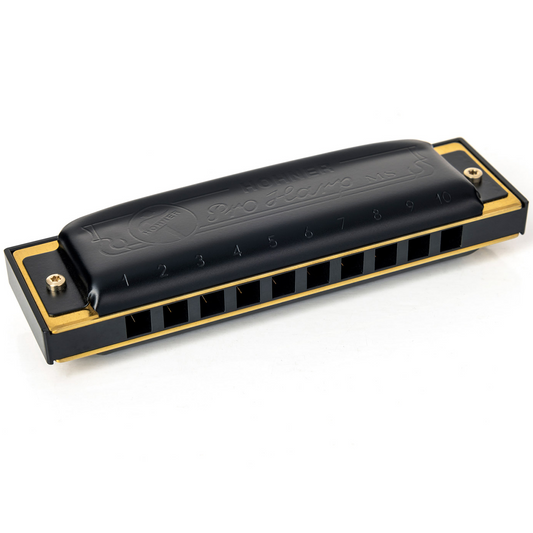Hohner MS Series Pro Harp 10 Hole Harmonica A