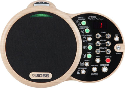Boss DR01S Rhythm Partner Groove Machine | EX-DEMO