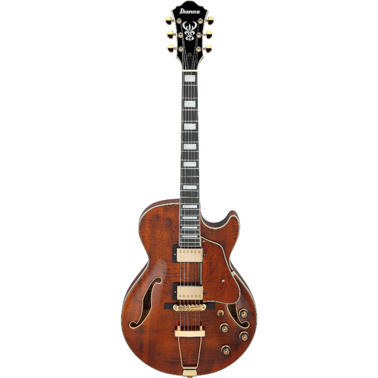 Ibanez AG95MG Electric Guitar in Dark Amber